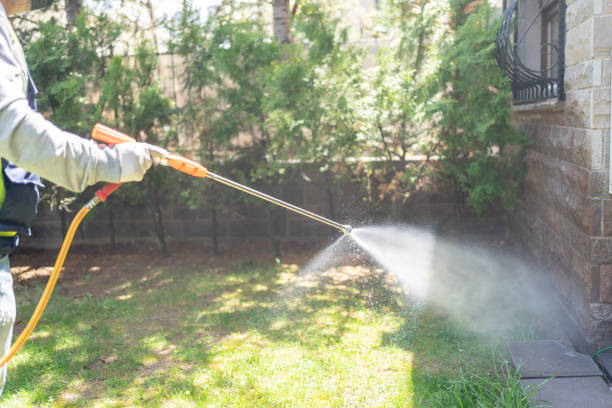 Best Fumigation Services  in Celina, TX